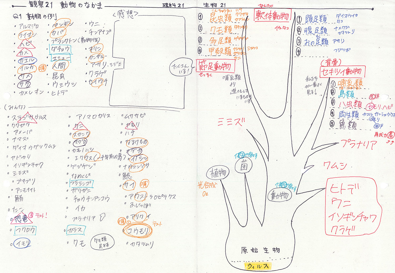 節 無 を 動物 ミミズ な という の 何 よう セキツイ 足 で ない もの に 動物 が